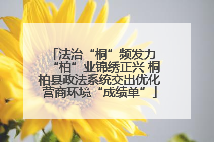 法治“桐”频发力 “柏”业锦绣正兴 桐柏县政法系统交出优化营商环境“成绩单”