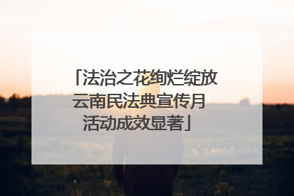 法治之花绚烂绽放 云南民法典宣传月活动成效显著
