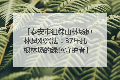 泰安市徂徕山林场护林员邓兴法：37年扎根林场的绿色守护者