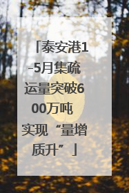 泰安港1-5月集疏运量突破600万吨 实现“量增质升”
