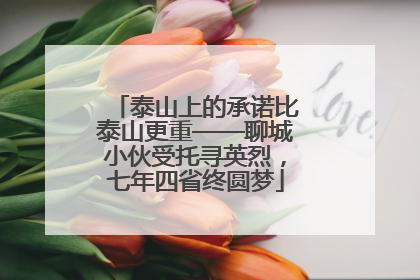 泰山上的承诺比泰山更重——聊城小伙受托寻英烈，七年四省终圆梦