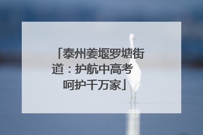泰州姜堰罗塘街道：护航中高考 呵护千万家