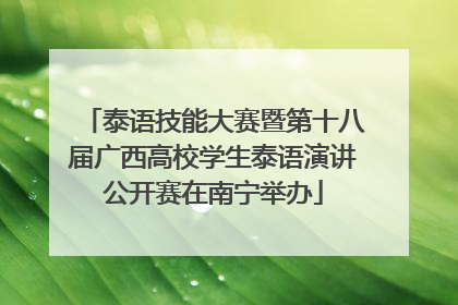 泰语技能大赛暨第十八届广西高校学生泰语演讲公开赛在南宁举办