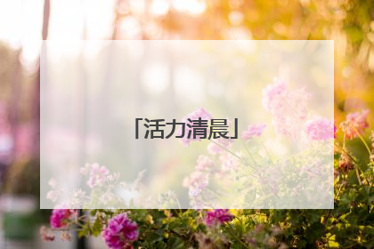 活力清晨