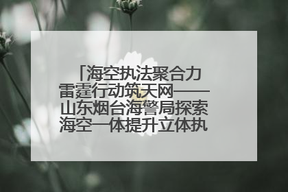 海空执法聚合力 雷霆行动筑天网——山东烟台海警局探索海空一体提升立体执法效能纪实