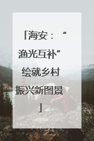 海安：“渔光互补” 绘就乡村振兴新图景