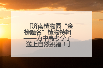 济南植物园“金榜题名”植物特辑——为中高考学子送上自然祝福！