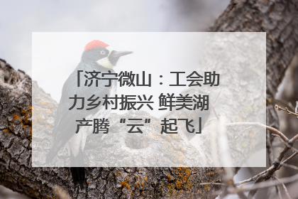 济宁微山：工会助力乡村振兴 鲜美湖产腾“云”起飞