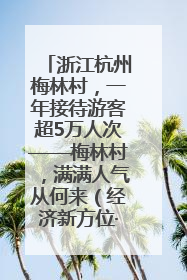 浙江杭州梅林村，一年接待游客超5万人次——梅林村，满满人气从何来（经济新方位·农村消费观察）