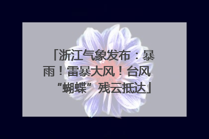 浙江气象发布：暴雨！雷暴大风！台风“蝴蝶”残云抵达