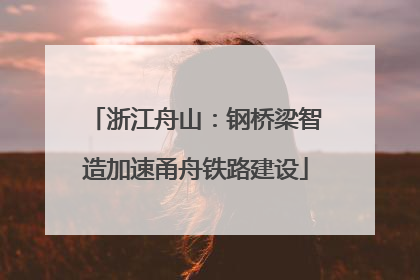浙江舟山：钢桥梁智造加速甬舟铁路建设