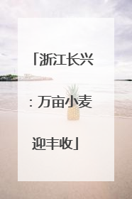 浙江长兴：万亩小麦迎丰收