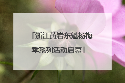浙江黄岩东魁杨梅季系列活动启幕