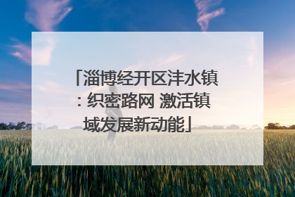 淄博经开区沣水镇：织密路网 激活镇域发展新动能