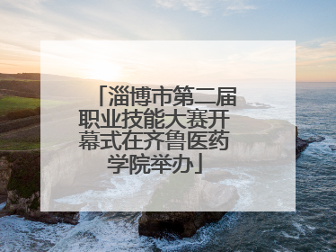 淄博市第二届职业技能大赛开幕式在齐鲁医药学院举办