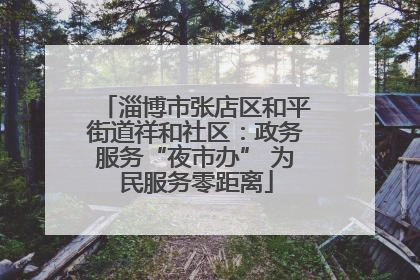 淄博市张店区和平街道祥和社区：政务服务“夜市办” 为民服务零距离
