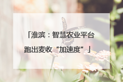 淮滨：智慧农业平台跑出麦收“加速度”