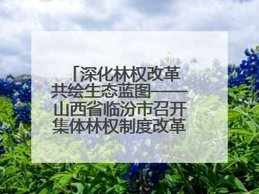 深化林权改革 共绘生态蓝图——山西省临汾市召开集体林权制度改革专题研讨会