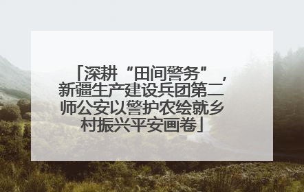 深耕“田间警务”，新疆生产建设兵团第二师公安以警护农绘就乡村振兴平安画卷