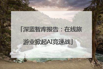 深蓝智库报告：在线旅游业掀起AI竞速战