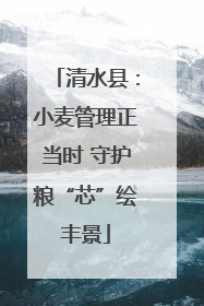 清水县：小麦管理正当时 守护粮“芯”绘丰景