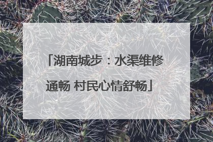 湖南城步：水渠维修通畅 村民心情舒畅