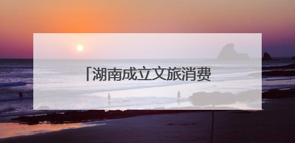 湖南成立文旅消费促进会 助力湖南文旅融入国际市场