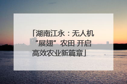 湖南江永：无人机“展翅”农田 开启高效农业新篇章