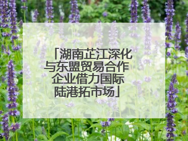 湖南芷江深化与东盟贸易合作 企业借力国际陆港拓市场