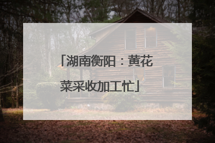 湖南衡阳：黄花菜采收加工忙