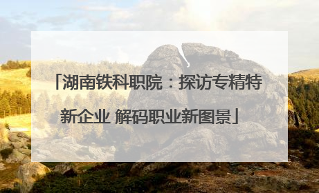 湖南铁科职院：探访专精特新企业 解码职业新图景