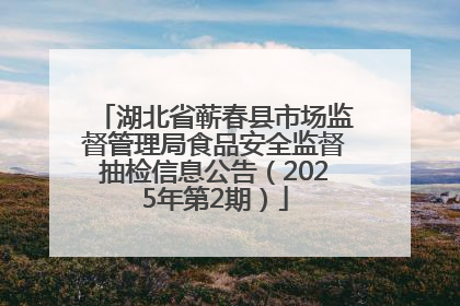 湖北省蕲春县市场监督管理局食品安全监督抽检信息公告（2025年第2期）
