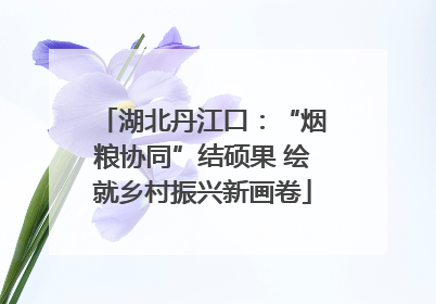 湖北丹江口：“烟粮协同”结硕果 绘就乡村振兴新画卷