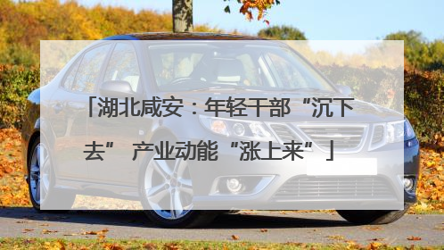 湖北咸安：年轻干部“沉下去” 产业动能“涨上来”