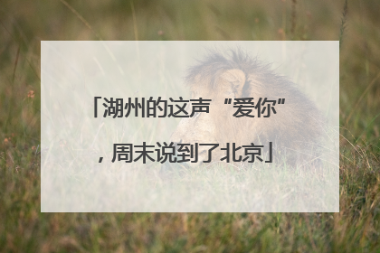 湖州的这声“爱你”，周末说到了北京