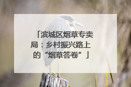 滨城区烟草专卖局：乡村振兴路上的“烟草答卷”