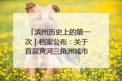 滨州历史上的第一次｜档案公布：关于首届黄河三角洲城市经济博览会暨发展论坛情况的总结报告