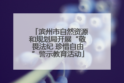 滨州市自然资源和规划局开展“敬畏法纪 珍惜自由”警示教育活动