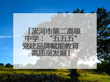 漯河市第二高级中学：“五五五”党建品牌赋能教育高质量发展
