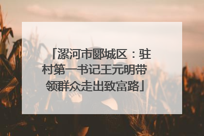 漯河市郾城区：驻村第一书记王元明带领群众走出致富路