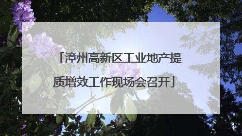 漳州高新区工业地产提质增效工作现场会召开