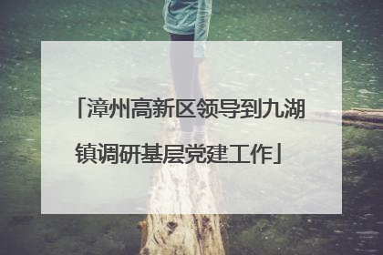 漳州高新区领导到九湖镇调研基层党建工作