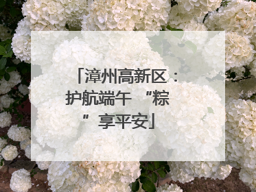 漳州高新区：护航端午 “粽”享平安