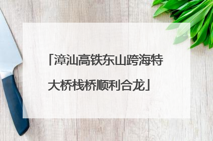 漳汕高铁东山跨海特大桥栈桥顺利合龙