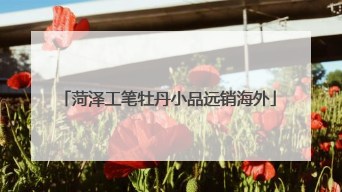 菏泽工笔牡丹小品远销海外