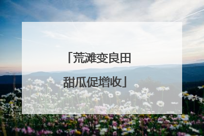 荒滩变良田 甜瓜促增收