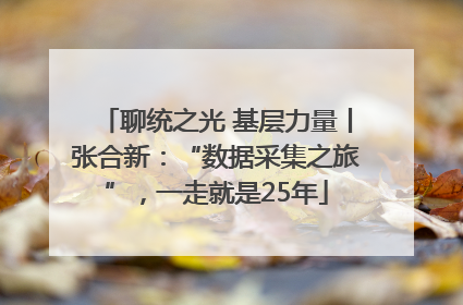 聊统之光 基层力量丨张合新：“数据采集之旅”，一走就是25年