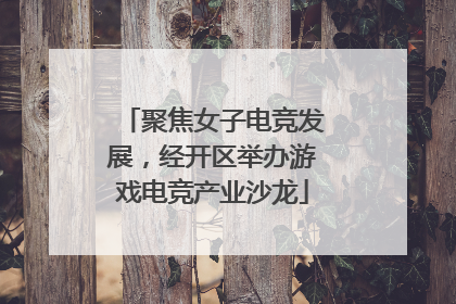 聚焦女子电竞发展，经开区举办游戏电竞产业沙龙