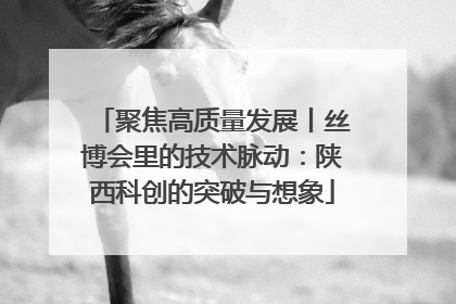 聚焦高质量发展丨丝博会里的技术脉动：陕西科创的突破与想象