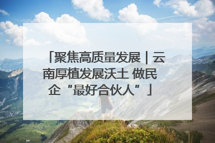 聚焦高质量发展｜云南厚植发展沃土 做民企“最好合伙人”
